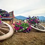 Tenuta Grimaldi Wine 4*