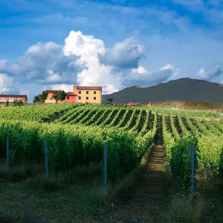 Tenuta Grimaldi Wine Matelica