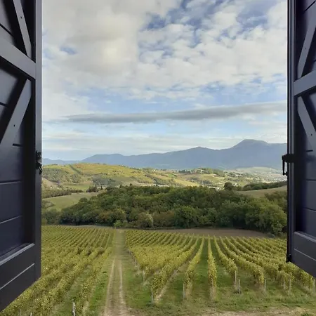 ホテル Tenuta Grimaldi Wine マテーリカ