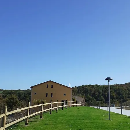 Tenuta Grimaldi Wine Matelica