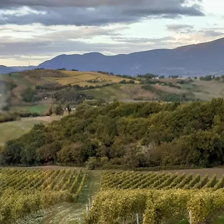 Tenuta Grimaldi Wine 4* マテーリカ