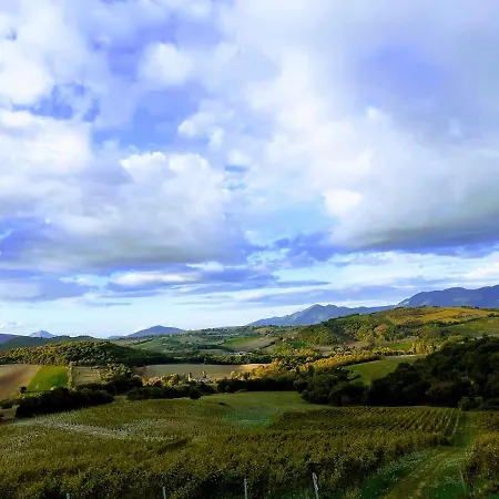 Tenuta Grimaldi Wine