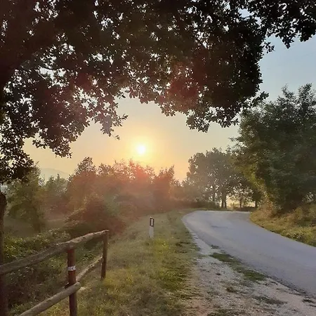 Tenuta Grimaldi Wine 4*