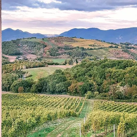 Tenuta Grimaldi Wine Szálloda