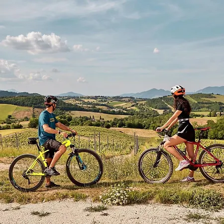 Tenuta Grimaldi Wine Matelica