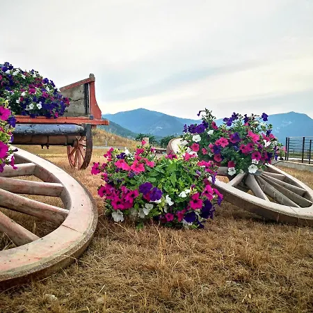 Tenuta Grimaldi Wine 4*