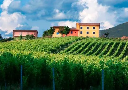 Hotel Tenuta Grimaldi Wine 4*