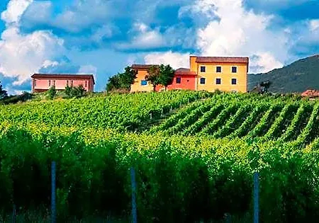 Hotel Tenuta Grimaldi Wine