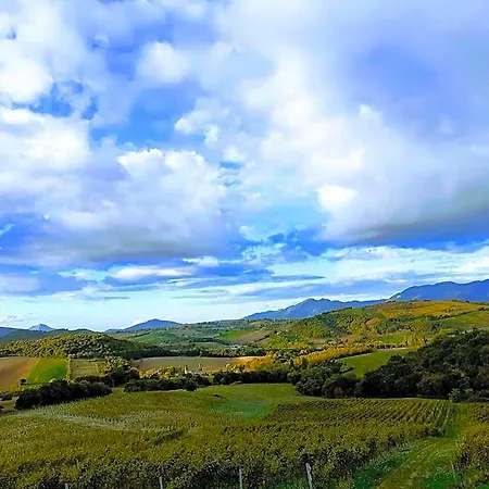 Tenuta Grimaldi Wine