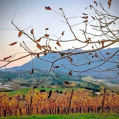 Tenuta Grimaldi Wine 4*