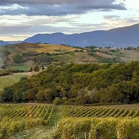 Tenuta Grimaldi Wine 4* Matelica